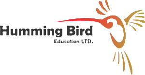 Humming Bird